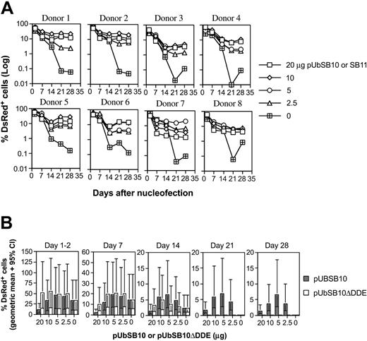 Figure 3. Stable transgene expression in human primary PBLs by the SB transposon trans construct and functional transposase. (A) SB trans delivery. Freshly isolated PBLs (5 × 106) were co-nucleofected with 5 μg of pT2/DsRed and different amounts of pUbSB10 or pUbSB11 (donors 7 and 8 only) (20, 10, 5, 2.5, and 0 μg). DsRed expression was analyzed on days 1, 2, 7, 14, 21, and 28. The data from 8 individual PBLs are shown. (B) Comparison of wild-type and mutant SB10 in trans delivery. Columns represent geometric means with 95% confidence intervals of 6 independent experiments. P values to compare SB10 and SB10ΔDDE on days 21 and 28 were all less than .001.