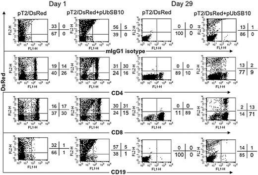 Figure 4. Immunophenotyping of transfected T cells. PBLs from 2 donors were nucleofected with pT2/DsRed or with pT2/DsRed plus pUbSB10, or without DNA (mock, data not shown), and then the cells were stained with anti-CD4, CD8, CD19, and isotype mouse IgG1 mAbs on days 1, 15 (not shown), and 29 for analysis by flow cytometry. Representative data from one donor is shown. Similar data from at least 3 other donors were obtained 3 to 4 weeks after transfection (not shown).