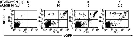 Figure 6. Dual gene expression in human T cells. PBLs from 2 donors were nucleofected with the SB dual gene plasmid pT2/EGmCN (5 μg) ± pUbSB10 (10, 5, 2.5, and 0 μg). The cells were activated by anti-CD3/28 beads on day 2 and assayed for eGFP and NGFR expression on days 7 (data not shown) and 21. Similar data were also obtained from another donor.