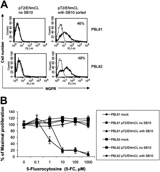 Figure 7. Functional therapeutic gene expression in human T cells by SB-mediated transposition. (A) NGFR expression in the SB-nucleofected T cells (solid line). A murine IgG1 isotype mAb was used (broken line). (B) Cell killing by 5-FC. Human T cells nucleofected with SB transposon DNA (2 × 105 cells/well) or CEM cells (104 cells/well) transduced with retrovirus expressing NGCD were exposed to different concentrations of 5-fluorocytosine (5-FC, Sigma) in 96-well flat-bottom plates for 5 days. A colorimetric assay kit (CellTiter 96, Promega) based on the conversion of a tetrazolium dye to formazan was used to quantitate the number of viable cells on day 5. Absorbance was measured at 565 nm using a microplate spectrophotometer (Bio-Tek Instruments, Winooski, VT). CEM cells alone or transduced with retrovirus expressing NGCD were used as negative and positive controls (data not shown). The data represent mean and standard deviation of 10 replicates. This experiment was repeated twice with similar results. Similar results also were obtained with the plasmid pT2/NGCD (data not shown).