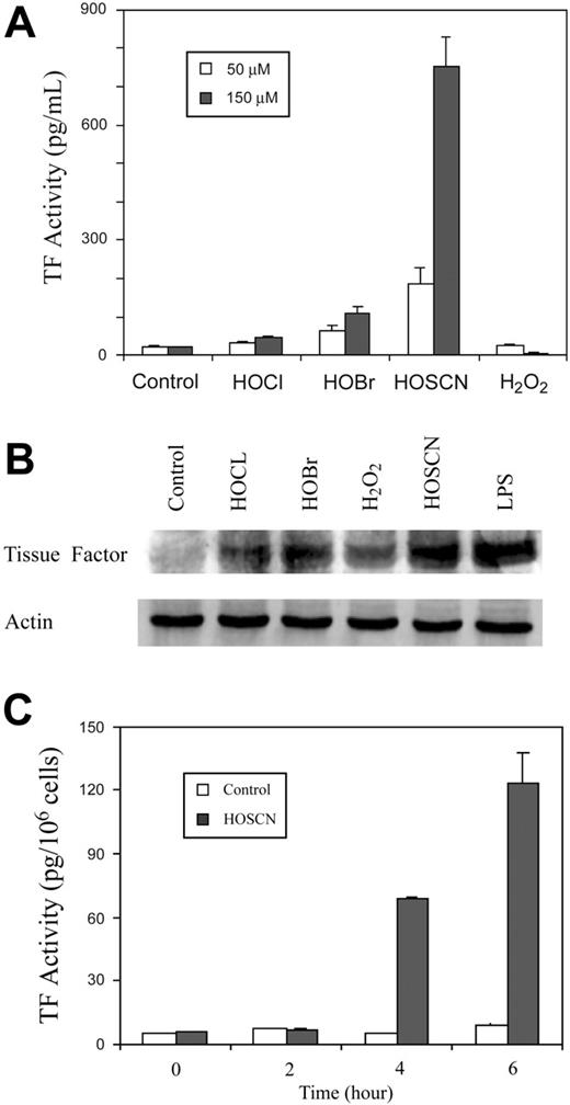 Figure 2. TF induction by phagocyte oxidants in the presence of 10% serum. (A) Total cell lysate TF activity. Monolayers of HUVECs were supplemented with buffer (control), or 50 μM(□), or 150 μM(▪) of reagent HOCl, HOBr, HOSCN, and H2O2 in M199 medium with 10% serum and incubated at 37°C for 4 hours prior to assay of TF activity in ionophore-treated cell lysates. (B) TF Western blot. HUVECs were treated as in panel A with 150 μM of the designated oxidant or 10 ng/mL LPS and TF was detected by Western blot. (C) Cell surface TF activity. HUVECs were exposed to either buffer control (□) or 150 μM HOSCN (▪) for the indicated times and harvested into single-cell suspension by trypsinization. A total of 6 × 105 cells were pelleted, washed with HBSA buffer, and then incubated with 6 nM factor VIIa, 600 nM human FX, and 10 mM CaCl2 at 37°C for 15 minutes. Supernatant fluid Xa activity was quantitated by clotting assay and TF activity derived from a standard curve using recombinant TF in the first stage. All data are shown ± SD.
