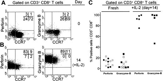 Figure 4. Expression of cytolytic factors in CD8+ T cells from patients with B-NHL. T lymphocytes from a lymph node biopsy of a patient with FL were characterized for expression of CCR7 and perforin or granzyme B before (A) and after (B) culture for 2 weeks with 50 ng/mL IL-2. Numbers in the dot plots indicate the fraction of positive cells in each quadrant. (C) Expression of cytolytic factors perforin (○) and granzyme B (□) in T cells isolated from peripheral blood of patients with CLL, or from lymph node biopsies (•, ▪) of patients with FL. Expression of perforin and granzyme B was also reevaluated after culture with IL-2.