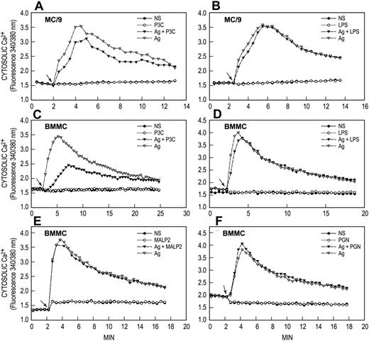Figure 4. TLR ligands do not generate calcium signals. IgE-primed MC/9 cells and BMMCs were loaded with Fura-2 and then stimulated or not (NS) with 20 ng/mL antigen (Ag), 1 μg/mL P3C, 100 ng/mL LPS, 100 ng/mL MALP2, or 10 μg/mL PGN, individually or in combination as indicated. Arrows indicate time of addition of stimulant(s). Values are expressed as the ratio of Fura-2 fluorescence at 510 nm when cells were excited alternately at 340 nm and 380 nm. The results are representative of 3 or more separate experiments.