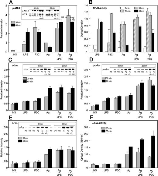 Figure 6. Activation of transcription factors by TLR ligands and antigen. IgE-primed MC/9 cells were stimulated or not (NS) for the periods indicated with 100 ng/mL LPS, 1 μg/mL P3C, and 20 ng/mL antigen (Ag), individually or in combination. Immunoblots were prepared from cell extracts and then probed for the indicated transcription factors or their activated phosphorylated forms with appropriate antibodies. Typical blots and their relative densities (mean ± SEM of values from 3 experiments) are shown for phosphorylated (Thr71)–ATF-2 (A), c-Jun (C), phosphorylated (Ser63)–c-Jun (D), and c-Fos (E). In addition, nuclear extracts were assayed for NF-κB (B) and c-Fos (F) oligonucleotide-binding activities by use of a commercial kit. The values are the mean ± SEM from 3 cultures. Identical results were obtained in a second experiment.