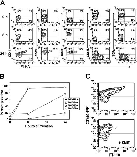 Figure 1. Comparison of CD44act to other T-cell activation markers in total CD4 cells. (A) Naive peripheral lymph node T cells (1 × 106) were stimulated with 5 μg/mL plate-bound anti-CD3/anti-CD28, harvested at 8 and 24 hours, and compared with unactivated cells (T = 0). Cells were stained as indicated in conjunction with Fl-HA for FACS. Conversion to CD44act is late relative to changes in other markers and occurs only on a fraction of cells. (B) Line graph representation of the changes over time in expression of CD44act compared with other indicated activation markers. (C) Two-color flow cytometric analysis of DO11.10 transgenic T cells stimulated for 24 hours with 25 μM OVA peptide plus APCs. Fl-HA staining was done with and without the HA-blocking anti-CD44 mAb, KM81.