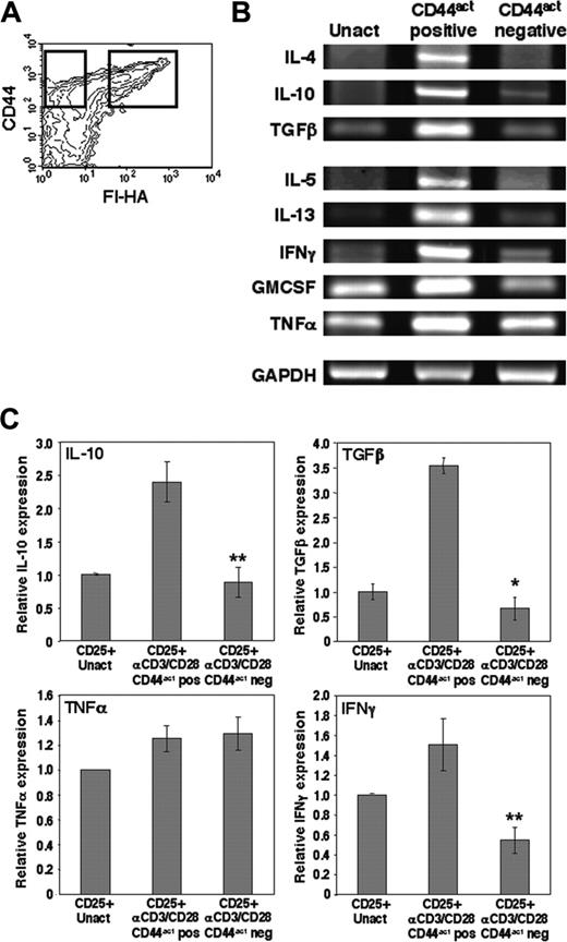 Figure 3. CD44act expression on CD4CD25+ Treg cells is associated with elevated expression of relevant cytokine mRNA. (A) CD4CD25+ T cells were activated for 16 to 18 hours with plate-bound anti-CD3/anti-CD28 then sorted immediately on the basis of CD44act expression (gates indicated by boxes). (B) Sorted activated CD4CD25+ cells and freshly isolated, unactivated (Unact) CD4CD25+ cells were immediately lysed for multiplex RT-PCR to assess cytokine mRNA levels. Results shown are representative of 4 independent experiments. Cycles for each cytokine: GMCSF, TNFα, 25 cycles; IL-13, IFNγ, TGFβ, 30 cycles; IL-4, -5, -10, 40 cycles. Internal control GAPDH was amplified for 25 cycles. (C) Relative cytokine mRNA levels as measured by real-time quantitative PCR analysis in CD44act+ and CD44act– fractions of CD4CD25+ cells activated for 24 hours and separated as in panel A. Cytokine levels in unactivated CD4CD25+ T cells are shown for comparison. Data shown are the mean ± SD of 3 experiments. *P ≤ .001 and **P ≤ .005 for comparisons of CD44act+ to CD44act– mRNAs.