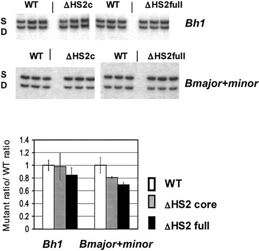 Figure 3. β-Like globin gene expression after in vitro erythroid differentiation of 5′HS2 mutant ES clones. Sample gels are shown. S indicates the single allele, and D, the diffuse allele on which mutations are made; ΔHS2c, the core deletion; and ΔHS2full, the full site deletion. Wild-type (WT) values are the WT D/S ratio normalized to 1.0. The mutant/S ratio is divided by WT D/S ratio before normalization of WT D/S. Error bars represent the standard deviation of the mean for 10 individual primitive (Bh1 assay) or definitive (Bmajor and Bminor assay) erythroid colonies before normalization.