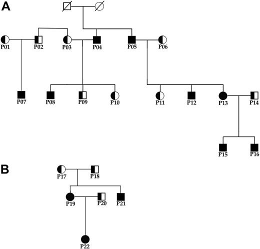 Figure 1. Pedigrees of 2 families affected by VHL-dependent polycythemia living on the island of Ischia. The P code denotes individuals from whom DNA samples were obtained. Filled symbols denote polycythemic subjects who are homozygous for the C598T mutation; half-filled symbols, heterozygous subjects.