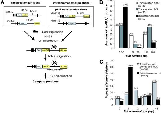 Figure 3. Comparison of translocation and intrachromosomal breakpoint junctions. (A) Strategy to compare translocations and intrachromosomal repair at the same sequence. For translocations, I-SceI was expressed in the p5rE cell line, and for intrachromosomal repair, I-SceI was expressed in 2 p5rE translocation clones that re-established the I-SceI site on der(17) but not on der(14). After transfection, neo+ cells were selected in G418, and genomic DNA was digested with I-SceI prior to PCR amplification with the indicated primers. PCR products were cloned and sequenced. (B) Comparison of deletion lengths at translocation and intrachromosomal breakpoint junctions. The 53 intrachromosomal and 36 of the translocation junctions from p5rE der(17) were isolated by the PCR strategy shown in panel A; 38 translocation junctions from individually isolated p5rE neo+ clones that had not re-established the I-SceI site also are shown for der(17). (C) Comparison of microhomology distributions for translocation and intrachromosomal breakpoint junctions. The translocation junctions are compiled from the PCR strategy shown in panel A and neo+ clonal analysis for p5rE der(17). Only junctions containing simple deletions are included.