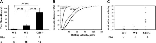 Figure 1. Effect of hyperhomocysteinemia on leukocyte adhesion. (A) Plasma Hcy levels. n indicates number of mice; Diet, hyperhomocysteinemic diet. Data are presented as mean ± SEM. (B-C) Seven venules of 200 to 300 μm in diameter from 4 WT mice on chow, 7 venules from 4 WT, and 9 venules from 5 Cbs+/– on Diet were analyzed. (B) Leukocyte rolling velocity. Cumulative histogram of rolling velocities allows direct comparison of distribution among groups; number of leukocytes analyzed: WT (538), WT/Diet (339), and Cbs+/–/Diet (497). (C) Number of leukocytes adhering to the endothelium (> 20 seconds) over a 5-minute period. Each point represents a single venule. Leukocyte rolling velocities and number of adhering leukocytes were significantly different between Cbs+/–/Diet and WT, as well as Cbs+/–/Diet and WT/Diet (P < .05).