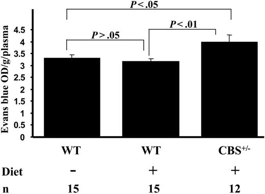 Figure 2. Evans blue dye accumulation in the cortices of mice. n indicates number of mice analyzed; Diet, hyperhomocysteinemic diet. Data are presented as mean ± SEM.
