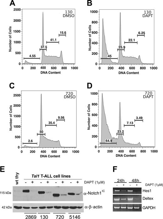 Figure 1. Cell lines derived from Tal1 tumors are sensitive to a γ-secretase inhibitor. Tal1 tumor cell lines were treated with 1 μM DAPT or DMSO (control) for 6 days, and the DNA content of propidium iodide-stained cell populations was determined by flow cytometry. (A-D) Numbers over the cell populations indicate the percentages of cells in sub-G0/G1, G0/G1, S, and G2/M phases. Tal1 tumor cells were untreated or treated with DAPT for 40 hours. (E) Western blot analysis using an antibody that specifically recognizes the activated form of notch1. A Tal1 T-ALL cell line was untreated or treated with DAPT for 24 or 48 hours. (F) RT-PCR analysis was performed with primers specific for Deltex, Hes1, and GAPDH.
