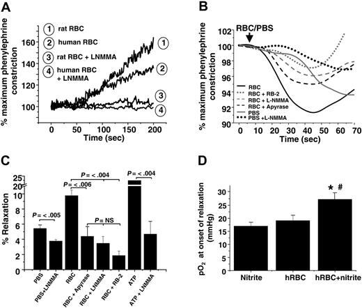 Figure 5. ATP and nitrite represent independent mediators of RBC vasodilation. (A) Representative vessel tension traces (at 25 mmHg oxygen) showing that human and rat RBCs induce contraction or have no vasoactive effect on rat thoracic aorta in the absence or presence, respectively, of L-NMMA. (B) Representative vessel tension traces and (C) percentages of relaxation stimulated by the addition of human RBCs (0.3% HCT) or ATP (1 μM) to rabbit thoracic aorta at 15 mmHg oxygen tension alone or after preincubation with 8 U/mL apyrase, 100 μM reactive blue-2 (RB-2), or 100 μM L-NMMA. To control for the addition of oxygen and oxygen off-loading from RBCs, an equivalent volume of ice-cold PBS saturated with 95% oxygen was added that also resulted in relaxation in an L-NMMA–inhibitable manner. Values are mean ± SEM (n = 3-6). P values are shown. NS = not significant. (D) Human RBCs (0.3% HCT) and nitrite (2 μM) were added to rabbit thoracic aorta incubated with L-NMMA (100 μM) to inhibit ATP-dependent relaxation. Dilation was initiated in a manner similar to that observed with rat vessels (Figure 3) at an oxygen tension of approximately 27 mmHg. Data represent mean ± SEM (n = 4-5). *P < .04 relative to RBCs alone. #P < .01 relative to nitrite alone.