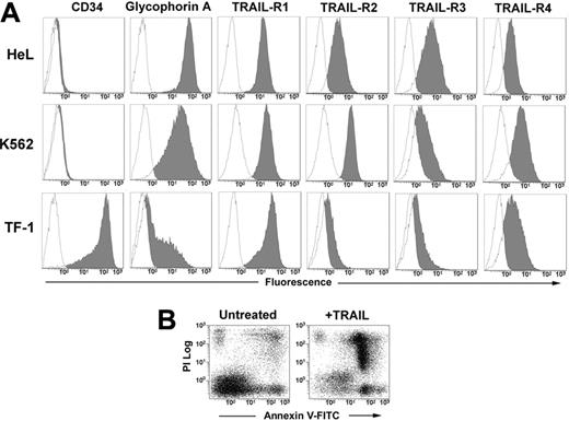 Figure 1. Phenotype of erythroleukemic cell lines and their sensitivity to TRAIL. (A) HeL, K562, and TF-1 cells were stained with anti-CD34, anti–glycophorin A, and with specific MoAbs to TRAIL-R1, TRAIL-R2, TRAIL-R3, and TRAIL-R4 as described in “Materials and methods.” Specific fluorescence histograms (gray) are superimposed to negative controls (empty histograms). (B) TRAIL-induced apoptosis of TF-1 cells treated for 48 hours with 50 ng/mL TRAIL. Apoptosis was detected by staining cells with annexin V–FITC and PI.