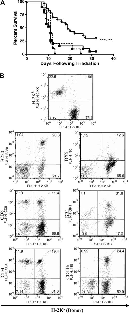 Figure 4. Oral WGP β-glucan significantly enhances the survival of lethally irradiated mice that are rescued with an allogeneic WT, but not CR3-/-, HPC transplantation. Two thousand WT or CR3-/- C57BL/6 (H-2Kb) HPCs were transplanted into lethally irradiated (950 cGy) C3H/HeJ (H-2Kk) recipients. One group of recipients (n = 23) received daily oral WGP β-glucan (80 mg/kg) on days 1 to 10 after transplantation, and another group (n = 19) received saline. Groups of 10 recipients receiving CR3-/- HPCs were treated similarly. (A) The treatment of recipient mice with oral WGP β-glucan (▾) resulted in a significant increase in survival 35 days after transplantation in mice receiving WT (—), but not CR3-/- (- - -), HPCs (▪ indicates mice receiving HPCs but not WGP β-glucan). In addition, recipients receiving WT HPCs and oral WGP β-glucan were observed to have significantly enhanced survival with respect to recipients receiving only WT HPCs (**P < .005; ***P < .001). (B) Representative experiment of multilineage engraftment from a total of 7 mice. The data are 1 representative experiment of 2 separate experiments.