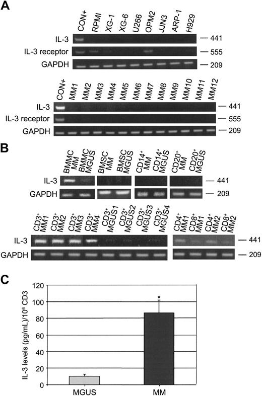 Figure 1. IL-3 expression and secretion in MM patients. (A) Interleukin-3 (IL-3) and IL-3 receptor mRNA expression was evaluated by RT-PCR in human myeloma cell lines (RPMI-8226, XG-1, XG-6, U266, OPM2, JJN3, ARP-1, and H929) and in freshly purified MM cells as shown for 12 representative MM patients (CON+ = activated T cells). (B) IL-3 mRNA expression was checked in bone marrow mononuclear cells (BMMCs), BM stromal cells (BMSCs), and in purified BM CD14+, CD20+, and CD3+ (CD4+ and CD8+) cells obtained from MM patients and MGUS subjects as shown for 4 representative patients. (C) IL-3 levels were measured by ELISA in 48-hour supernatants of purified CD3+ cells obtained from MM patients (n = 20) and MGUS subjects (n = 10). Graph represents the mean ± SD IL-3 levels normalized to 106 cells (*P = .01).