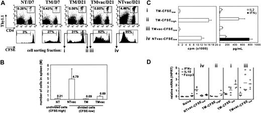 Figure 1. Heterogeneity of tumor-specific CD4+ T cells. (A) A total of 2.5 × 106 CFSE-labeled HA-specific CD4+Thy1.1+ T cells were transferred into BALB/c recipients (Thy1.2+/+) either tumor free (NT) or inoculated with 1 × 106 A20HA 10 days earlier (TM). Sixteen days after T-cell transfer, some mice were immunized with vacHA and analyzed 5 days later. Mice were killed at indicated time points. The frequency of transferred Thy1.1+CD4+ cells in the spleen was measured by FACS analysis. Percentage of the gated population is displayed in each dot plot. CFSE profiles of the gated cells are shown. The percentage of the divided cells in the gated population is indicated in each histogram. (B) Absolute number of divided donor cells recovered from spleen (total splenocyte count × percent CD4+Thy1.1+ × percent donor cells that are CFSElow). For unvaccinated NT mice, only CFSEhigh donor cells were counted. Each group had a minimum of 3 mice. Results are shown as mean ± SE. (C) Cells were sorted based on cell division status as indicated in panel A. Sorted cells (2 × 104) were stimulated with 10 μg/mL HA110-120 peptide in the presence of 2 × 105 irradiated BALB/c splenocytes. Cell proliferation was measured by 3H-thymidine incorporation. Supernatants were analyzed by ELISA for detection of IL-2 and IFN-γ. (D) qRT-PCR analysis of sorted cells. Purified CD4+ T cells from 6.5 Tg mice were included as naive controls. Each symbol represents data from one mouse. Each sample was run in triplicate for each gene, with HPRT as internal reference. mRNA abundance of the target gene was normalized to HPRT and represented as relative mRNA frequency.