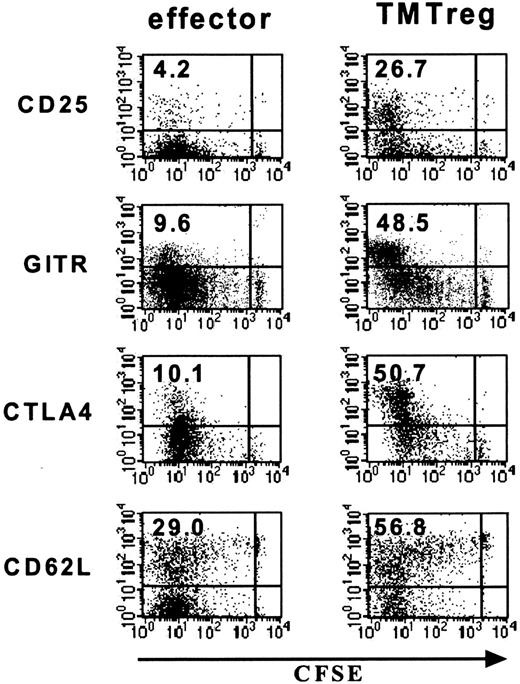 Figure 3. Phenotype of TMTregs. T-cell transfer and vaccination were conducted as described in Figure 1. Spleen cells from vaccinated tumor-free and TM mice were stained with anti-CD4, anti-Thy1.1, and the indicated mAb. Dot plots shown are gated on CD4+Thy1.1+ donor cell population. Value shown in each plot is the percentage of the indicated population. The data shown are representative of 3 separate experiments with similar results. GITR indicates glucocorticoid-induced TNF receptor.