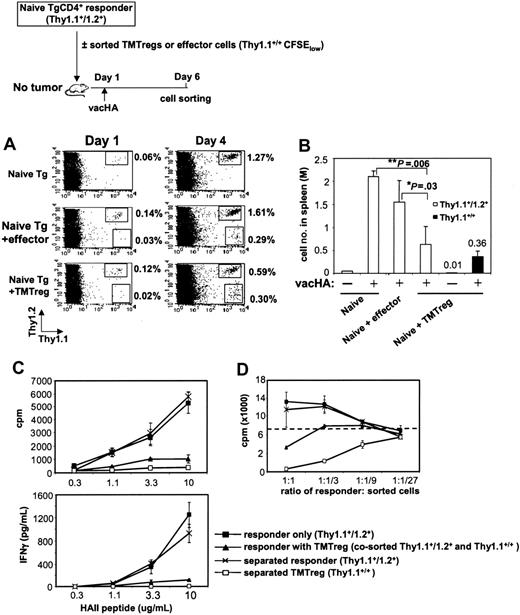 Figure 7. TMTregs inhibit responder cell expansion and effector function but not Th1 differentiation. CD4+ T cells purified from 6.5 Tg mice (Thy1.1+/Thy1.2+) were labeled with CFSE and transferred as responder cells, either alone or together with an equal number of sorted TMTregs or effector cells (Thy1.1+/+), into BALB/c recipients. All mice received vacHA immunization the next day. (A) Cells from tail blood collected at the indicated time points were stained with anti-Thy1.1–PE and anti-Thy1.2–APC mAbs. Percentages of the gated populations are indicated. (B) Spleen cells were harvested, counted, and the absolute numbers of Thy1.1+/Thy1.2+ and Thy1.1+/+ cells were determined 5 days after vaccination. *P < .05; **P < .01. (C) The divided fractions of the Thy1.1+/Thy1.2+ and Thy1.1+/+ populations were sorted by FACS either separately or together and analyzed for proliferation and IFN-γ production in the presence of varied amounts of peptide. (D) In vitro suppression assay. Responder cells (Rag2–/– 6.5CD4+) were mixed with sorted cells at the indicated ratios in the presence of HA peptide and irradiated BALB/c splenocytes. The dotted line represents the proliferation of responders cultured alone with peptide and splenocytes; ▪, sorted responder cells when transferred alone; ▴, cotransferred responders and TMTregs sorted together; ×, separated responders when cotransferred with TMTregs; and □, separated TMTregs when cotransferred with responders. Results were shown as mean ± SE of triplicate cultures. The data shown are representative of 2 separate experiments. Similar results were obtained when TMTregs were transferred in excess of naive responder cells by a 2:1 ratio.