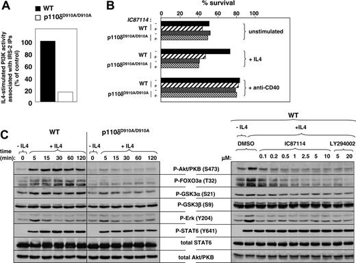 Figure 5. Effect of p110δ inactivation on IL-4 signaling in primary splenic B cells. (A) Cells were stimulated with or without IL-4 for 15 minutes, followed by assay of PI3K activity in IRS-2 immunoprecipitates. (B) Percent of viable cells in a culture of B cells treated with or without IL-4 or anti-CD40 for 24 hours. (C) Left panel: Cells were stimulated with IL-4 at different time points, followed by analysis of signaling proteins in total-cell lysates. Right panel: WT B cells were stimulated with IL-4 for 15 minutes with or without the indicated PI3K inhibitors.