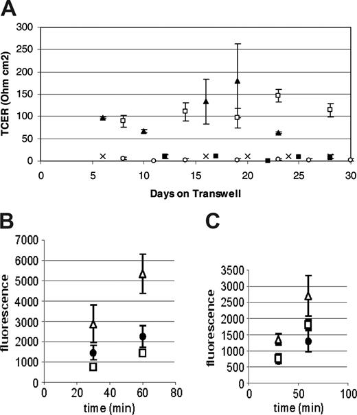 Figure 1. Human peripheral blood monocytes form a low permeability barrier in culture. (A) CD14+ human peripheral blood monocytes cultured on Transwells form a high-resistance barrier similar to mouse brain microvascular endothelial cells (MBECs), while CD14-depleted human peripheral blood mononuclear cells do not. HUVECs and HAECs do not develop a high transcellular resistance under the same culture conditions. (n = 3-4 for each cell type) P < .05 (CD14+, □; MBEC, ▴; HAEC, ○; HUVEC, ▪; and CD14-depleted, ×). (B-C) The permeability of ELMCs to FITC-labeled 4-kDa (B) and 20-kDa (C) dextran is lower than the permeability of HUVECs and similar to the permeability of MBECs. Cells were cultured on transwell inserts and the movement of FITC-labeled 4-kDa and 20-kDa dextrans through the cell layer was monitored and used to calculate permeability coefficients (HUVEC, ▵; ELMC, •; and MBEC, □) (n = 3). The permeability surface product (PS) was determined using the equation ΔCl/Δt where ΔCl is the incremental clearance volume and Δt is time. The permeability coefficient (P) was calculated using the equation PS/S=P where S is the filter surface area. To correct for the contribution of the filter, P was also determined for a fibronectin-coated filter and the permeability coefficient for the cell layer alone was calculated using the equation 1/Pc = 1/Pt - 1/Pf where Pc is the permeability of the cell layer, Pt is the permeability of the total system, and Pf is the permeability of the filter. The permeability of ELMCs for 4-kDa dextran (Pc = 3.8 ± 1.1 × 10-6 cm/s) was significantly lower than the permeability of HUVECs for 4-kDa dextran (Pc = 5.5 ± 1.3 × 10-6 cm/s; P < .05). This was also true for 20-kDa dextran (ELMC Pc = 2.23 ± 0.1 × 10-6 cm/s vs HUVEC Pc = 3.8 × 0.4 × 10-6 cm/s; P < .05). This experiment was performed twice with similar results. Data are expressed as mean ± SEM.