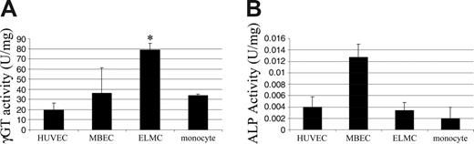 Figure 3. ELMCs have high γ-glutamyl transpeptidase activity. γ-glutamyl transpeptidase (γ-GT) activity is significantly higher in ELMCs than HUVECs or freshly isolated monocytes (*P < .05). However, ELMCs do not have increased alkaline phosphatase (ALP) activity compared with freshly isolated monocytes or HUVECs. γ-GT (A) and ALP (B) activity of freshly isolated monocytes, ELMCs, HUVECs, and MBECs were compared (n = 3). Results are expressed as enzyme activity per microgram of protein. These experiments were performed 4 times with similar results.
