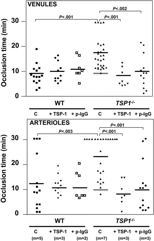 Figure 6. Photochemically injured intestinal vessel thrombosis. Distribution of occlusion time and mean (horizontal bars) upon injury induction in venules (top panel) and arterioles (bottom panel) of WT and Tsp1-null mice, without (Tsp1-/-) or after pretreatment with human TSP-1 or anti-ADAMTS13 IgGs for the indicated number of mice (m); thin parallel lines reflect the time to first massive thrombus formation in Tsp1-null mice; C indicates nontreated controls; +TSP-1, bolus of 80 μg/kg + infusion of 80 μg/kg/h; and +p-IgG, bolus of anti-ADAMTS13 IgG of 23 mg/kg + infusion of 23 mg/kg/h. P values were calculated via nonparametric Mann-Whitney test with 2-tailed P value.