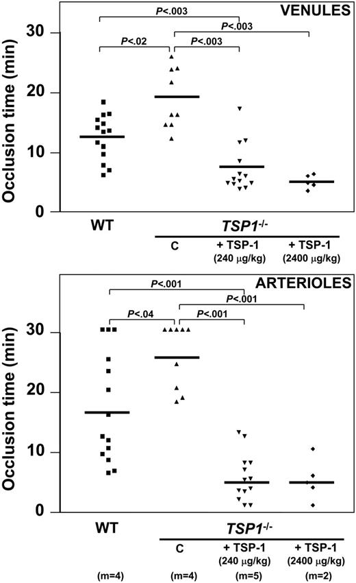 Figure 8. Intestinal vessel thrombosis during hirudin treatment. Distribution of occlusion time and mean (horizontal bars) upon injury induction in venules (top panel) and arterioles (bottom panel) of WT or Tsp1-null hirudin-treated mice, for the indicated number of mice (m), in control conditions (C), and after treatment with human TSP-1, either with a bolus of 240 μg/kg + infusion of 240 μg/kg/h or 2400 μg/kg + infusion of 2400 μg/kg/h; P values were calculated via nonparametric Mann-Whitney test, with 2-tailed P value.