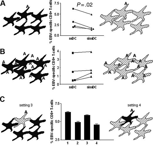 Figure 7. Expansion of antigen-specific T cells by DCs is impaired by CYTIP silencing. Mature HLA A2.1+ DCs were cocultured with autologous CD8+ T cells for 7 days. T cells were stained with anti-CD8-FITC and PE-labeled pentamers specific for HLA A2.1 loaded with EBV peptide. Percentage of CD8+/Pentamer+ cells are shown. (A) DCs silenced for CYTIP (simDC) or not (mDC) were loaded with EBV peptide and mixed with unloaded CYTIP-silenced DCs or unloaded untreated DCs, respectively, at a ratio of 1:10. The results of 4 independent experiments show that simDCs have a clearly reduced capacity to prime T cells as compared with mDCs in the assay where only 1/10 of DCs is antigen loaded. The P value from a paired Student t test performed with the results of the 4 experiments is .02 (significant). (B) All DCs were loaded with the EBV peptide. simDCs and mDCs exert similar priming activity if all DCs are loaded with antigen. P = .09 (not significant). (C) The bar graphs show the priming capacity of DCs in the setting described in panel A (bar 1, mDCs; bar 2, simDCs) and, in addition, of DCs silenced for CYTIP and loaded with EBV peptide and mixed with 9 parts of untreated unpulsed DCs (setting 3, bar 3) and of untreated DCs loaded with EBV peptide and mixed with 9 parts unloaded CYTIP silenced DCs (setting 4, bar 4). Although 9 parts of unpulsed untreated DCs do not interfere with the priming capacity of loaded silenced DC (bar 3), CYTIP silencing of 9 parts of unloaded DCs impairs priming (bar 4).