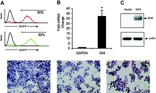Figure 1. Dll4 expression in retrovirally transduced primary human endothelial cells. (A) Flow cytometric measurement of EGFP expression in HUVECs infected 3 days earlier with control retrovirus or Dll4 retrovirus. Representative images from 8 independent infections. (B) Levels of Dll4 expression in HUVECs 3 to 15 days after transduction with control vector or Dll4 retrovirus were evaluated by quantitative RT-PCR relative to GAPDH expression. The results reflect the mean (± SEM) from 14 separate determinations from 8 infections. *P = .012. (C) Dll4 and actin expression in HUVECs transduced with control vector or Dll4 retrovirus evaluated by immunoblotting with R3 rabbit anti-Dll4 antibody and reblotting with goat anti-β-actin antibody. (D-F) Immunocytochemical analysis of Dll4 expression in HUVECs transduced with Dll4 (F) or vector only (D) using rabbit anti-Dll4 antibodies; control staining of Dll4-transduced HUVECs with preimmune rabbit serum (E).