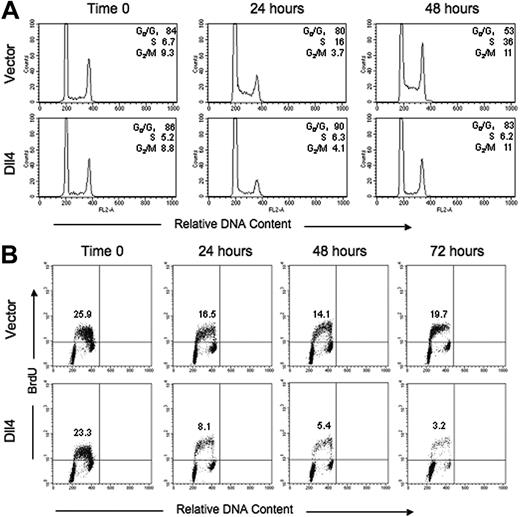 Figure 3. Analysis of the effects of Dll4 overexpression on cell-cycle distribution. (A) HUVECs transduced with Dll4 or vector only (60%-90% of cells expressing EGFP) were synchronized by 24-hour incubation in starvation medium supplemented with 2.5% serum and then stimulated with VEGF-A (50 ng/mL) for 24 or 48 hours. Cell-cycle distribution was evaluated by flow cytometric analysis of relative DNA content, after cell fixation in cold 70% ethanol and incorporation of propidium iodide (PI). The results, analyzed by MODFIT LT software, reflect the percentage of cells found in the G0/G1, S, and G2/M phases of the cell cycle at time 0 (end of synchronization), 24 and 48 hours after culture with VEGF-A. Representative experiment of 4 performed. (B) Exponentially growing HUVECs transduced with vector only or Dll4 (60%-90% of cells expressing EGFP) were cultured in serum-reduced (2.5%) medium containing VEGF-A (50 ng/mL) for 24 to 72 hours. Cells were pulsed with BrdU (10 μM) over 1 hour prior to harvest. After fixation in 70% ethanol and Triton-X 100 permeabilization, the cells were stained with FITC-labeled mouse monoclonal anti-BrdU antibodies and subsequently allowed to incorporate PI. Cell-cycle distribution was evaluated by flow cytometry. The results reflect the percentage of cells in the S phase of cell cycle measured at time 0 (1 hour after culture in serum-reduced medium), 24, 48, and 72 hours after incubation in VEGF-A-supplemented serum-reduced culture medium.