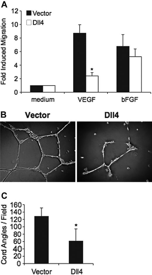 Figure 4. Effects of Dll4 overexpression on endothelial cell migration and extracellular matrix-dependent cord formation. (A) VEGF-A (100 ng/mL)- and bFGF (100 ng/mL)-induced transwell migration of control and Dll4-overexpressing HUVECs (5 × 105 cells/well) over 16 to 20 hours of incubation. The results reflect the mean fold increase (± SEM) in cell migration compared with medium alone in 3 experiments performed in triplicate. (B) Representative images reflecting cord formation by control and Dll4-overexpressing HUVECs (4-7.5 × 104 cells/well) plated in complete culture medium on matrigel-coated wells (24-well plate) and incubated 16 to 18 hours. Phase-contrast microscopy (original magnification, × 10). (C) Quantitative analysis of matrigel-induced cord formation in control and Dll4-overexpressing HUVECs. Cord formation was measured as a function of the number of cord angles per visual field (phase-contrast microscopy, 4 × magnification). The results represent the mean (± SD) from 8 independent experiments. *P = .001.