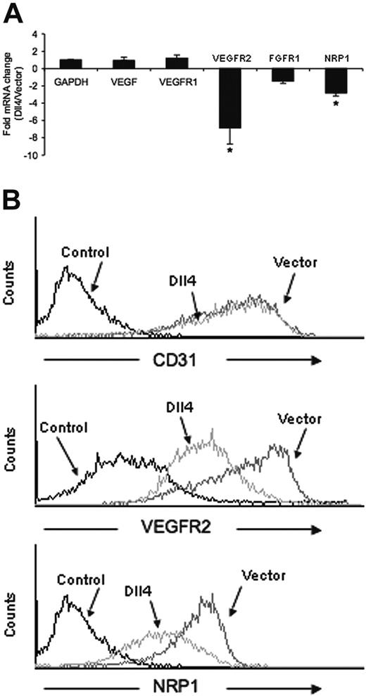 Figure 5. Regulation of VEGFR2 and NRP1 expression in Dll4-transduced endothelial cells. (A) Quantitative RT-PCR analysis of VEGF-A, VEGFR1, VEGFR2, FGFR1, and NRP1 expression in HUVECs transduced with vector only or Dll4. The results reflect relative mRNA levels (normalized to GAPDH) in Dll4-transduced and control HUVECs and are expressed as the fold mRNA change in Dll4 versus control HUVECs. The results represent the mean (± SEM) from 4 to 9 independent determinations. *P < .05. (B) Surface levels of CD31, VEGFR2, and NRP1 expression in vector-only (Vector) and Dll4-transduced (Dll4) HUVECs measured by flow cytometry. Control reflects background surface fluorescence staining with appropriate controls.