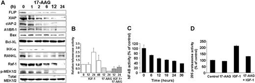 Figure 3. Functional sequelae of hsp90 inhibition. (A) Immunoblotting analyses of MM-1S cells treated with 17-AAG (500 nM for 0-24 hours) confirms that hsp90 inhibition suppresses the intracellular levels of multiple downstream effectors of the IGF-1R and IL-6R pathways, including the Raf-1 and IKK-α kinases (coupled with decreased constitutive phosphorylation of MEK1/2), the antiapoptotic proteins FLIP, XIAP, A1/bfl-1, cIAP2, and the pro-osteoclastogenic stimulator RANKL. In contrast, hsp90 inhibition by 17-AAG does not confer a significant effect on the intracellular levels of MEK1/2, for example. (B) Telomerase activity assay (by densitometric evaluation of the telomeric repeat amplification protocol (TRAP) method indicates that 17-AAG (500 nM, 0-24 hours) suppresses both constitutive and IGF-1 (200 ng/mL)-induced activation of the catalytic subunit of telomerase (hTERT). (C) 17-AAG treatment (750 nM for 0-36 hours) suppresses the NF-κB activity of MM-1S, as evidenced by NF-κB DNA binding enzyme-linked immunosorbent assay (ELISA). (D) 17-AAG treatment (750 nM for 0-36 hours) suppresses the activity of the 20S proteasome, as evidenced by 20S chymotryptic activity assay. (B-D) Error bars indicate SD.