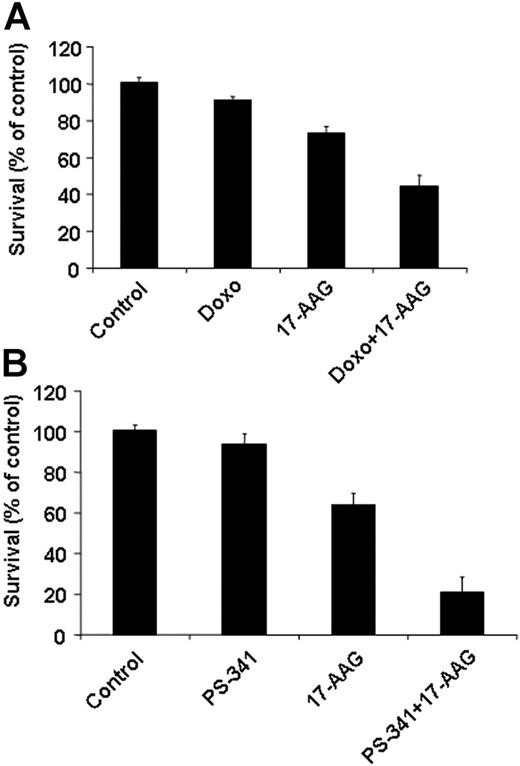 Figure 7. Hsp90 inhibition sensitizes tumor cells to other anticancer therapies. The in vitro anti-MM activities of doxorubicin (Doxo, 50 ng/mL, 48 hours, A) and bortezomib (PS-341, 5 nM, 24 hours, B) are enhanced by 17-AAG treatment (0.75 μM for the final 24 hours of each incubation) in primary MM tumor cells that are resistant to cytotoxic chemotherapy and bortezomib. Error bars indicate SD.
