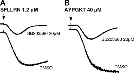 Figure 3. Effect of SB203580 on PAR1- and PAR4-mediated platelet aggregation. Washed human platelets (3 × 108/mL) were preincubated in DMSO or SB203580 (20 μM) for 5 minutes. TRAPs, SFLLRN (A), or AYPGKF (B) were added to induce platelet aggregation.