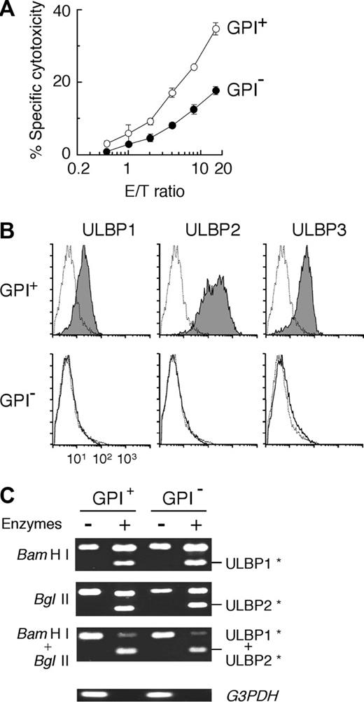 Figure 1. Selective expression of ULBP on the membrane of GPI+ K562 cells. (A) GPI- K562 cells (•) were less susceptible to NK cells than GPI+ K562 cells (○). Each value represents the mean (± SD) of triplicate assays. (B) Flow cytometry showed the membrane expression of ULBPs 1-3 in GPI+ cells alone (shaded histograms). Dotted lines show nonspecific background staining with isotype-matched control Ig. (C) RT-PCR products showed similar expression of ULBPs 1-3 in GPI+ and GPI- cells. RT-PCR products of ULBP1 and ULBP2 were digested with BamHI and BglII restriction enzymes, respectively. RT-PCR products of ULBP3-transcript were resistant to both enzymes. G3PDH indicates glyceraldehyde 3-phosphate dehydrogenase. *Digested fragments of RT-PCR products of each ULBP.