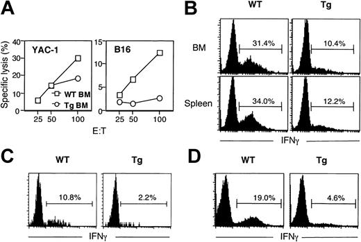 Figure 2. Functional immaturity of Tg NK cells. (A) Freshly isolated BM cells from WT and Tg mice pretreated with poly-I:C were used in standard cytotoxicity assays against the indicated targets. (B) BM and spleen cells were stimulated with IL-2 plus IL-12 and analyzed for intracellular IFNγ. Gated NK1.1+ CD3- cells are shown, and the numbers represent the percentages of IFNγ-producing cells. (C) Spleen cells from indicated mice were co-incubated with YAC-1 tumor cells and analyzed for intracellular IFNγ. Gated NK1.1+ CD3- cells are shown, and the numbers represent the percentages of IFNγ-producing cells. (D) Splenocytes from indicated mice were stimulated by anti-NK1.1 cross-linking then analyzed for intracellular IFNγ. Gated NK1.1+ CD3- cells are shown, and the numbers represent the percentages of IFNγ-producing cells. All data are representative of analysis of at least 3 WT and Tg mice.