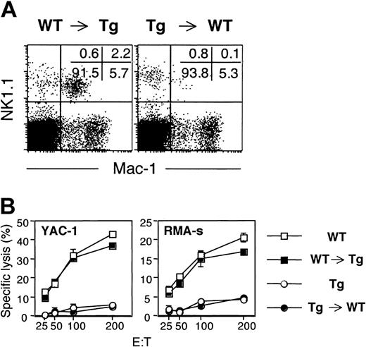 Figure 5. Intrinsic defect in the NK-cell lineage derived from Tg mice. (A) Spleen cells from indicated BM chimeric mice were stained for Mac-1, NK1.1, and CD3. Gated CD3- cells are shown, and the numbers represent the percentages of cells in each quadrant. Similar numbers of splenocytes were found in each chimeric mouse (data not shown). Two mice were analyzed for each group, and similar results were obtained. (B) Freshly isolated spleen cells from indicated control and chimeric mice pretreated with poly-I:C were used in standard cytotoxicity assays against the indicated targets. The bars represent standard deviation of triplicate wells for each point. Data are representative of 2 independent experiments with similar results.