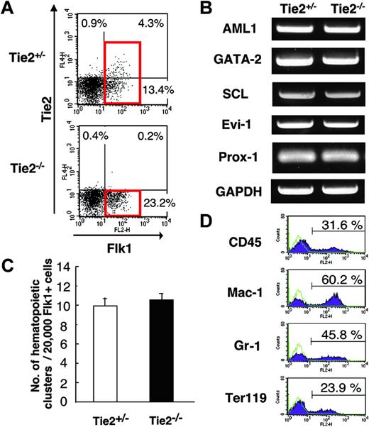 Figure 3. Normal development of hematopoietic cells from Tie2-/- ES cells. (A) FACS analysis of the expression of Flk1 and Tie2 in Tie2-/- and Tie2+/- ES cell–differentiated cells. Red squares show the Flk1+ fraction. The percentages of cells in each quadrant are indicated. (B) Expression of genes associated with mesoderm in Flk1+ cells shown in panel A (red squares) was analyzed by RT-PCR. (C) Flk1+ cells (20 000) were cultured on OP9 cells. The number of hematopoietic clusters from Tie2+/- and Tie2-/- cells at day 7 of culture was calculated. Results are expressed as the mean ± SD. (D) Tie2-/- hematopoietic clusters were cultured for an additional 7 days on fresh OP9 cells. The expression of CD45, Mac-1, Gr-1, and Ter119 was analyzed by flow cytometry. ES cell–derived hematopoietic cells are represented by purple shaded histograms; unstained controls, by green lines.