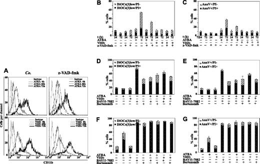 Figure 4. Impact of myeloid differentiation on apoptosis susceptibility. (A) Differentiation of P39 cells. Cells were stimulated for the indicated period with ATRA or vitamin D3 in the absence or presence of z-VAD-fmk, followed by immunocytofluorometric detection of the differentiation marker CD11b. (B-C) Differentiation-associated cell death. Cells treated as in panel A were analyzed for any of 3 apoptotic parameters, namely ΔΨm loss (B), phosphatidyl serine (PS) exposure (C), and PI staining (B-C). (D-G) Effect of NF-κB inhibitors on differentiating P39 cells. Cells were cultured with the indicated combinations of ATRA, vitamin D3, BAY11-7082, and/or bortezomib for 24 hours (D-E) or 72 hours (F-G), then labeled with DiOC6(3) plus PI (D,F) or FITC-labeled annexin-V plus PI (E,G), and subjected to flow cytometric analyses. This experiment was repeated 4 times, yielding comparable results. Values are expressed as means ± SD; n = 3.