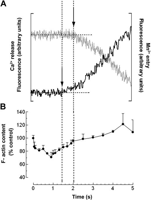 Figure 1. Comparison of the latency and time course of thrombin-evoked Ca2+ release, Mn2+ entry, and actin reorganization. (A) Fura-2-loaded human platelets were rapidly mixed with thrombin (at 0 seconds) at a final concentration of 0.1 U/mL in the presence of 100 μM of EGTA and 200 μM MnCl2. Fura-2 fluorescence was recorded at excitation wavelengths of 340 nm (black trace, left axis) and 360 nm (gray trace, right axis). Traces are representative of 20 runs made on cell preparations from 10 donors. (B) Human platelets were rapidly mixed with 0.1 U/mL thrombin (•) or with HBS (dashed line) and incubated at 37°C for various time periods (1-5 seconds) before mixing with formaldehyde (3% in PBS). Actin filament content was determined as described in “Materials and methods.” Results shown are presented as percentage of the F-actin content in resting cells and expressed as mean ± SE of 21 runs made on cell preparations from 12 donors. Vertical dashed lines represent the starting times for Ca2+ release and Mn2+ entry.