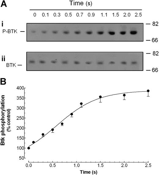 Figure 3. Thrombin-evoked rapid Btk phosphorylation and activation in human platelets. Platelets were rapidly mixed with thrombin at a final concentration of 0.1 U/mL, or with agonist-free HBS solution (control at 0 seconds) and incubated at 37°C for various time periods (0.1-2.5 seconds) before mixing with lysis buffer using a quenched-flow system. Proteins were separated by SDS-PAGE followed by Western blotting with either anti-phospho-Btk (Y-223) antibody (Ai) or anti-Btk antibody (Aii) as described in “Materials and methods.” Bands were revealed using chemiluminescence and were quantified using scanning densitometry. Positions of molecular-mass markers are shown on the right. (B) Graph represents the quantification of Btk phosphorylation. Values are mean ± SE of 6 runs made on cell preparations from 6 donors expressed as the percentage of Btk phosphorylation in resting cells.