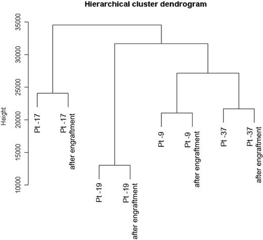 Figure 2. Gene expression analysis of engrafted AML cells. A dendrogram is shown from the unsupervised hierarchical cluster analysis of the 8 chips for the 2260 genes passing the variation filter. Independent of karyotype, AML patients were grouped between before and after engraftment. This means that the AML in the original patient is very much related to the AML that has grown in the mouse. The samples corresponding to before and after engraftment were always adjacent to each other, reflecting a very close relationship between them. Pt indicates patient. Height is an arbitrary unit of association; higher numbers indicate greater degree of similarity.