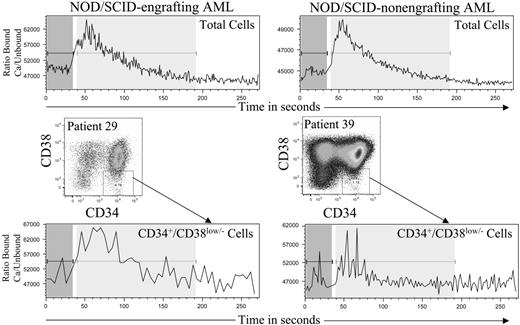 Figure 4. Calcium flux in cells from both NOD/SCID engrafting and nonengrafting AML cases. Samples were labeled with Indo-1 dye as described in “Calcium flux measurement.” The ratio of fluorescence due to dye bound to calcium over fluorescence due to unbound dye is displayed against time. Data were collected for 30 seconds, before addition of 100 ng/mL of SDF-1 and further analysis. All samples analyzed produced detectable intracellular calcium upon SDF-1 stimulation and no differences could be detected between NOD/SCID engrafting and nonengrafting AML cases.