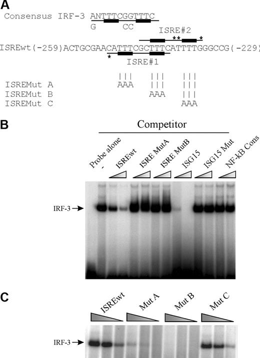 Figure 2. Physical characterization of the ISRE-1 site within the IL-12p35 proximal promoter region. (A) IRF-3 consensus DNA-binding sequence is shown.21 The oligonucleotide used as probe in EMSA (named ISREwt) encompasses 2 overlapping putative ISRE sites (ISRE-1 and -2, indicated by the underlined nucleotides). An asterisk indicates nucleotides that differ from the consensus. For ISREMut A, B, and C probes, only the bases that are changed compared with ISREwt are indicated. (B) Competition assays. Recombinant N-terminal IRF-3 (2 ng) was incubated with radiolabeled ISREwt probe in the absence or presence of 12.5- and 50-fold excess of the indicated unlabeled competitor. (C) EMSA was performed with decreasing amounts of IRF-3 protein (10, 2, and 0.4 ng) and radiolabeled ISREwt, ISRE Mut A, Mut B, and Mut C probes.