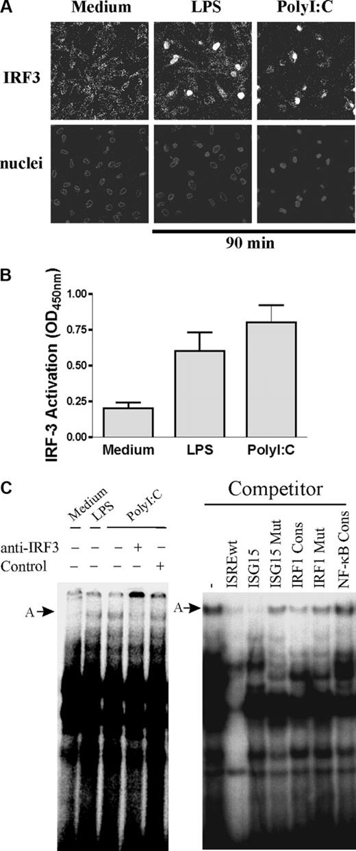 Figure 3. IRF-3 activation and binding to IL-12p35 ISRE site in human DCs. (A) DCs were incubated with medium alone, LPS, or PolyI:C for 90 minutes. Subcellular localization of IRF-3 was analyzed by immunofluorescence using anti-IRF-3 (top panels). Nuclei were counterstained with Toto-3 (bottom panels). One representative donor of 3 is shown. (B) Assessment of IRF-3 activation in DCs. DCs were left untreated or stimulated for 90 minutes with LPS or PolyI:C. IRF-3 binding activity in nuclear extracts (5 μg protein) was assessed using an ELISA-based technique (IRF-3 TransAM; Active Motif). Results are presented as mean ± SEM from 3 different donors. OD indicates optical density. (C) Endogenous IRF-3 binds to IL-12p35 ISRE site. DCs were left untreated or stimulated with LPS or PolyI:C for 90 minutes. Nuclear extracts (10 μg protein) were incubated with radiolabeled ISREwt probe from the p35 promoter. When indicated, PolyI:C-treated extracts were incubated with polyclonal IRF-3 antibody or control antibody. To ensure specificity of the binding, nuclear extracts from PolyI:C-stimulated DCs were incubated with radiolabeled ISREwt probe in the presence of a 50-fold molar excess of the indicated unlabeled competitor.