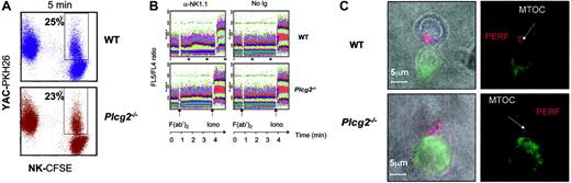 Figure 3. PLC-γ2 is required for calcium mobilization, but not for conjugate formation or MTOC reorientation. (A) CFSE-labeled WT and Plcg2-/- NK cells were coincubated at a 1:1 ratio with PKH-26-labeled YAC-1 target cells for 1, 2, 5, and 10 minutes at 37°C. Percentages of NK cells conjugated with targets were measured by flow cytometry. Data at 5 minutes from one representative experiment of 3 independent experiments is shown. (B) Anti-NK1.1-coated WT NK cells but not Plcg2-/- NK cells responded to cross-linking secondary antibody with an increase of intracellular calcium. The right panel shows negative control data obtained with NK cells that were left uncoated. (C) WT and Plcg2-/- NK cells were able to polarize the MTOC and the cytotoxic granules toward CFSE-labeled YAC-1 target cells. The blue staining identifies γ-tubulin (MTOC), whereas the red staining identifies perforin. One representative 2-dimensional reconstruction of the xy projection of a NK/YAC conjugate is represented for both genotypes. Confocal microscopy was carried out using a 63×/1.4 NA oil objective lens. Images were processed using Adobe Photoshop 5.0 (Adobe Systems, San Jose, CA).