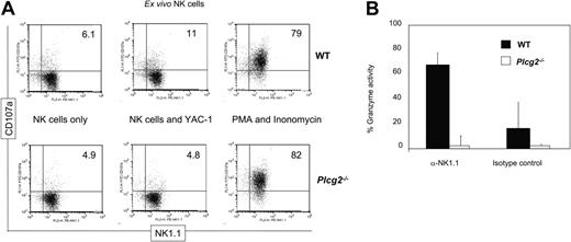 Figure 5. PLC-γ2 is a key regulator of degranulation. (A) Freshly DX5-enriched NK cells (70%-80% purity) were incubated for 5 hours, in the presence of anti-CD107a, with nothing, YAC-1 targets, or PMA and ionomycin, as indicated. Only cells that have degranulated expose CD107a on the cell surface. Target cells induced degranulation in WT but not Plcg2-/- NK cells. (B) WT (▪) and Plcg2-/- (□) NK cells were stimulated with anti-NK1.1 mAb or isotype-matched control and after 4 hours the specific esterase activity was measured by BLT-colorimetric assay. Maximal release in NK cell lysates obtained after freeze-thaw cycles was similar in WT and Plcg2-/- NK cells (not shown). Data are means ± SD of 2 independent experiments, including a total of 4 individual mice per group.