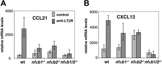Figure 4. p50 and p52 are essential for LTβR-induced expression of lymphoid tissue chemokines CCL21 and CXCL13. (A) Distorted CCL21 induction in p50 and p52 singly and doubly deficient MEFs in response to LTβR signaling. WT, Nfkb1-/-, Nfkb2-/-, and Nfkb1-/- Nfkb2-/- MEFs were stimulated for 24 hours with agonistic LTβR antibody and assessed for transcription of CCL21. (B) Distorted CXCL13 induction in p50 and p52 singly and doubly deficient MEFs in response to LTβR signaling. WT, Nfkb1-/-, Nfkb2-/-, and Nfkb1-/- Nfkb2-/- MEFs were stimulated for 24 hours with agonistic LTβR antibody and assessed for transcription of CXCL13. The RNA was isolated from the cells and converted to cDNA for analysis of CCL21 and CXCL13 transcription by real-time PCR. Error bars indicate a single standard deviation in the data of 3 biological replicates. Each biological replicate was done in 3 technical Q-PCR triplicates (though some reactions failed).
